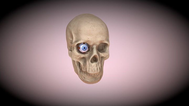 Eye Skull 3D Model