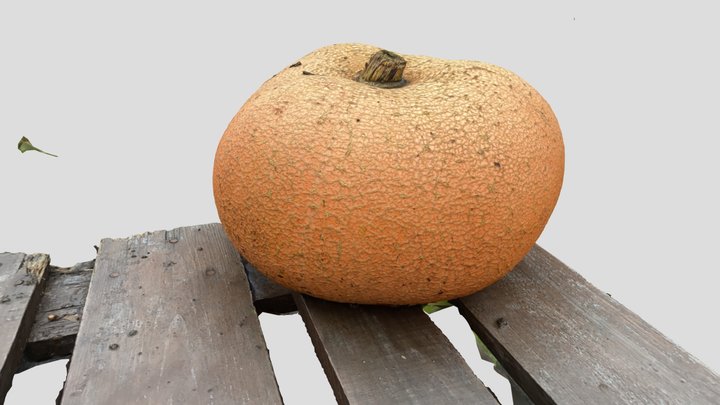 Pumpkin 3D Model