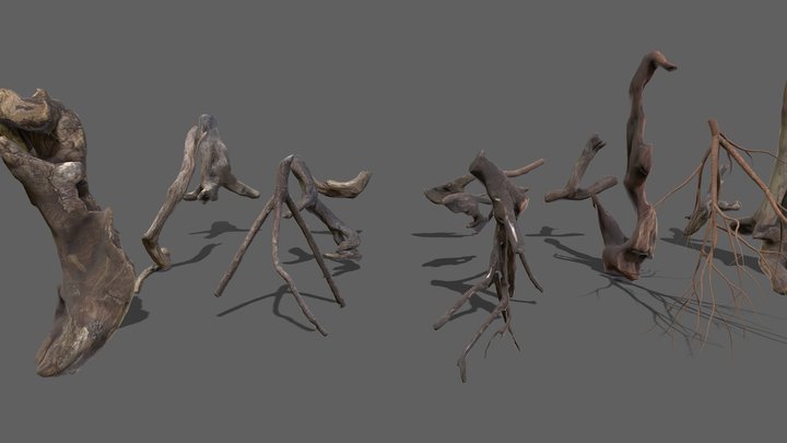 14 types of driftwood for the Metaverse 3D Model