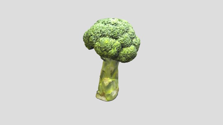 broccoli 3D Model