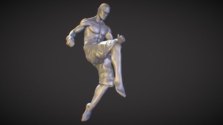 MMA knee 3D Model