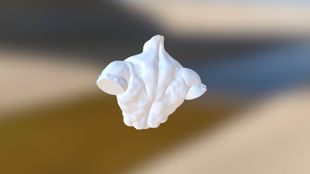 Torso 3D Model