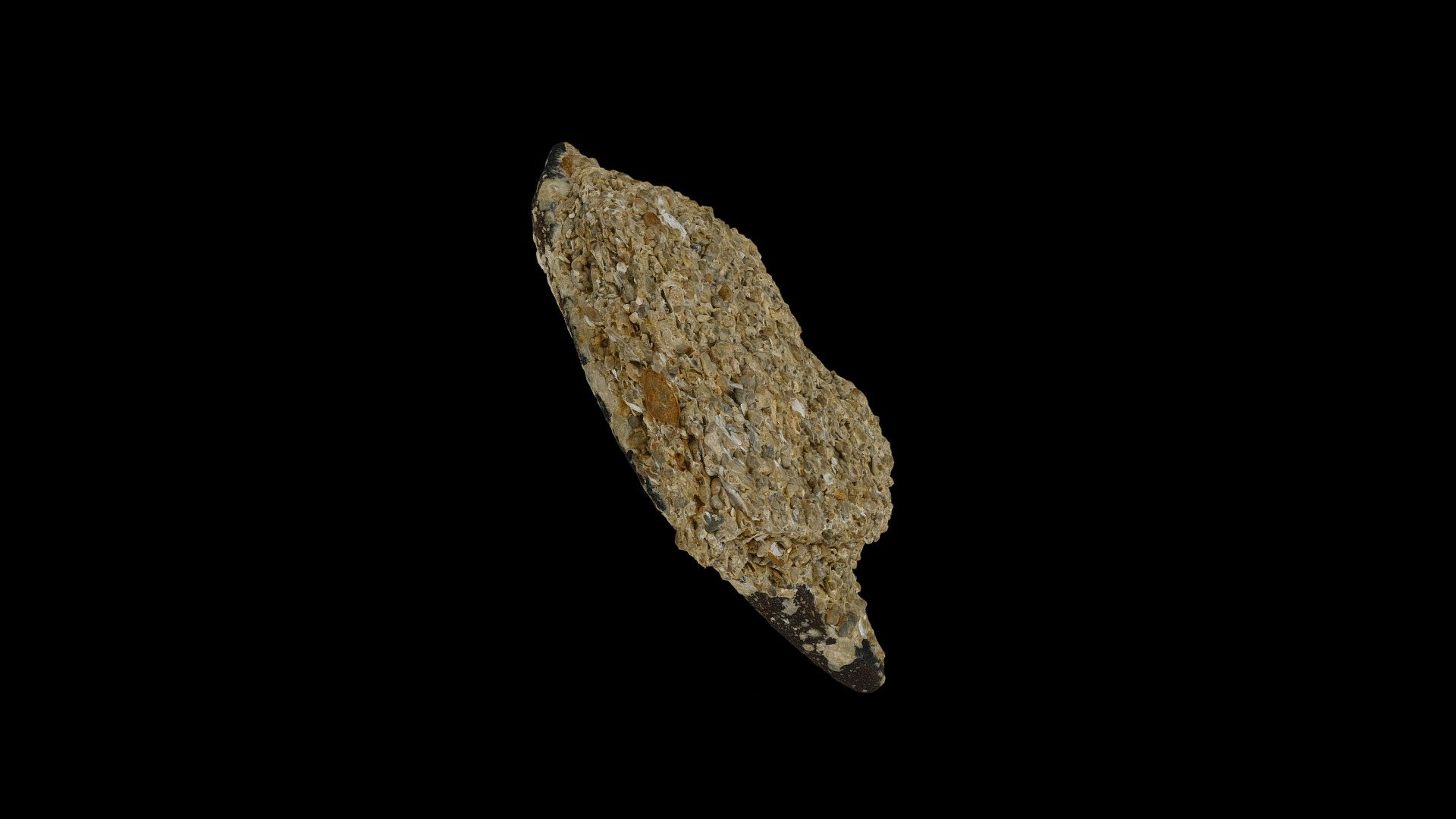 Calcaire coquillier Download Free 3D model by LPG3D [20b5378