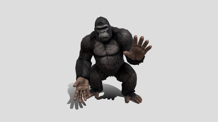 Gorilla 3D models - Sketchfab