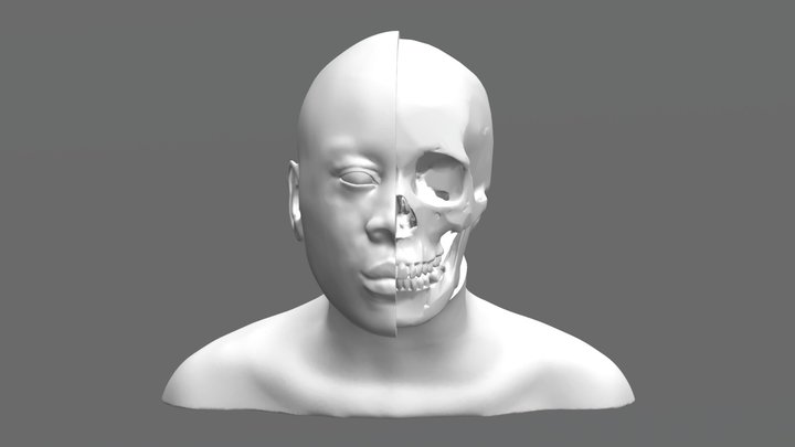 Facial Approximation of BC-178: Skull Vs. Skin 3D Model