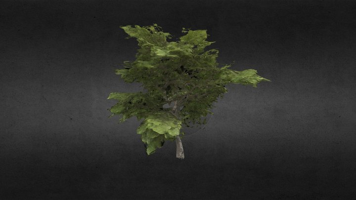 3D Tree Model - AI-Generated