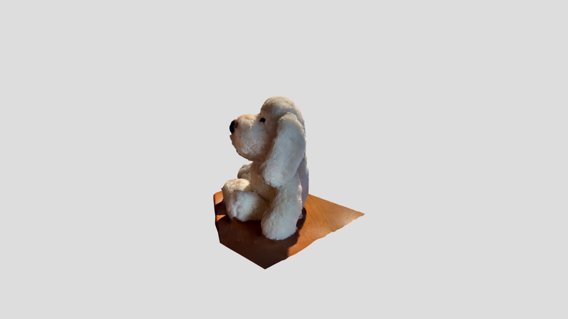 Polycam capture