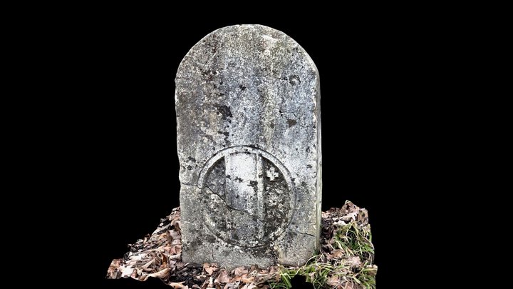 borNE-BE.1de1895 3D Model