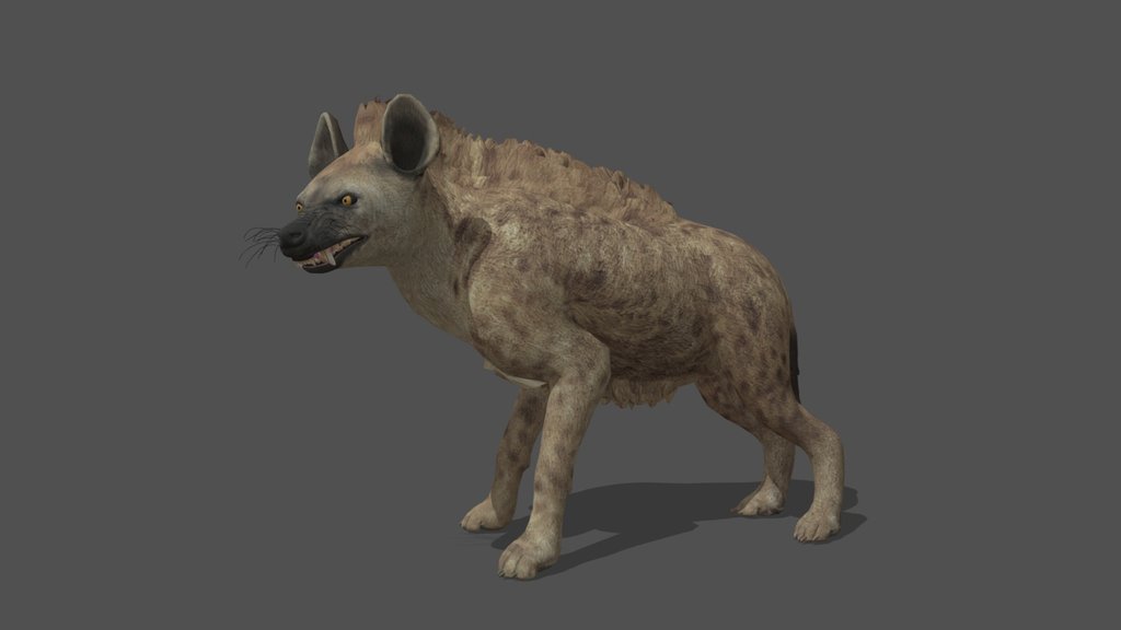 Animated Hyena – 3D Animal Model