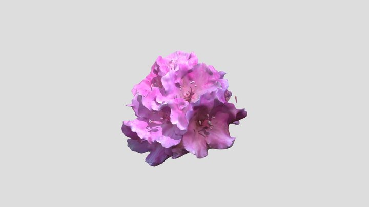 Rhododendron 3 extra with mask – Modèle 3D gratuit STL