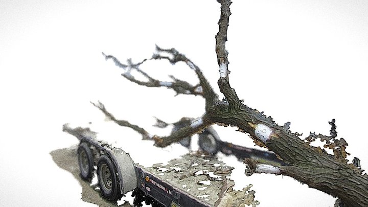 WholeTrees-B-Tree-Trailer-Test