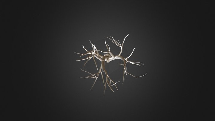 Amur Cork Fall Trunk 3D Model