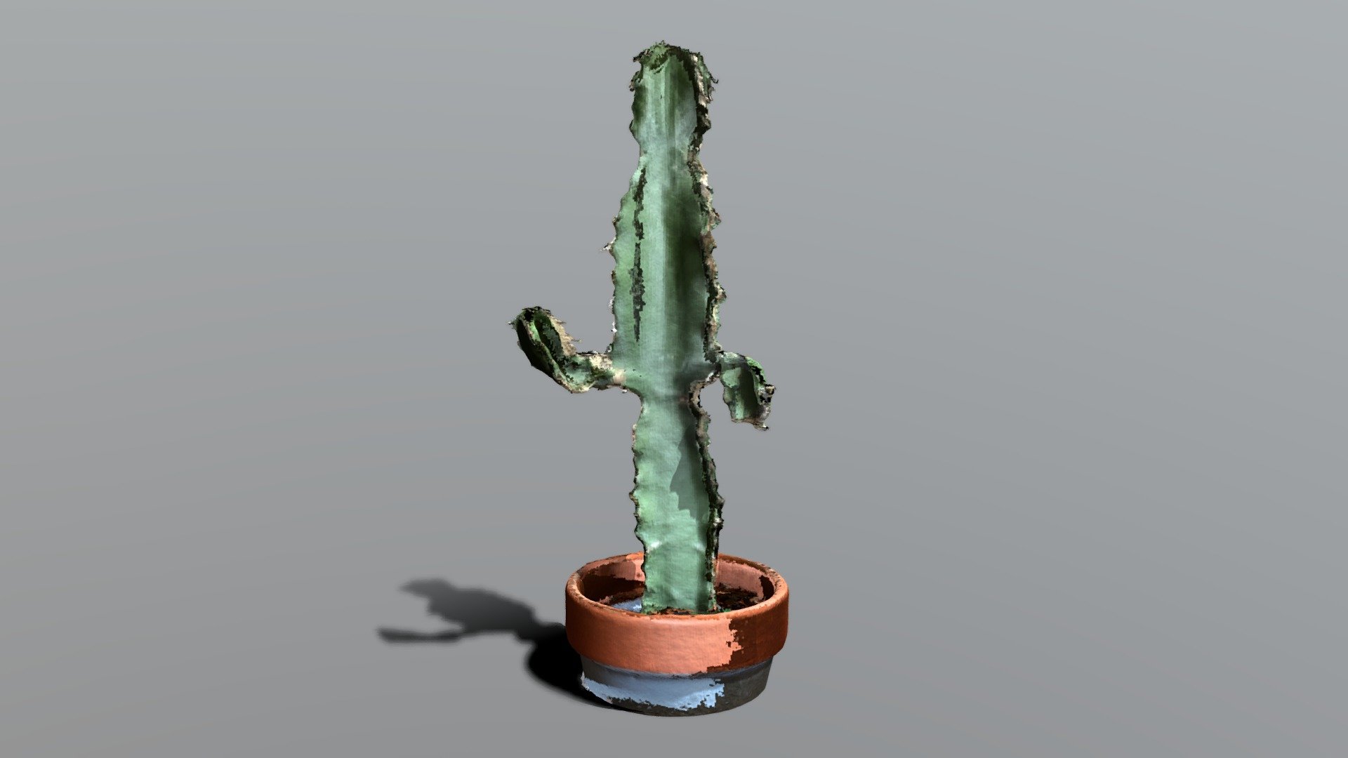 Waving Cactus