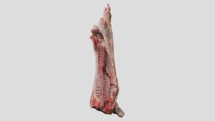 豚枝肉 3D Model