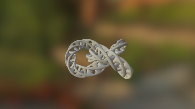Moebius Torus Knot Lined 3D Model