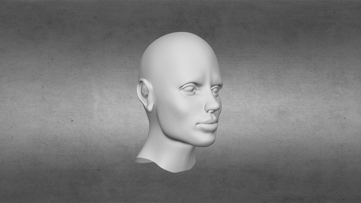 X-Head-Hi 3D Model
