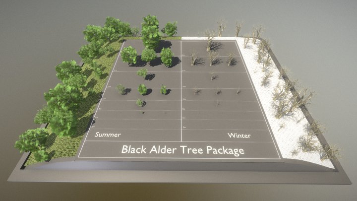 Black Alder Low-Poly Tree Package 3D Model