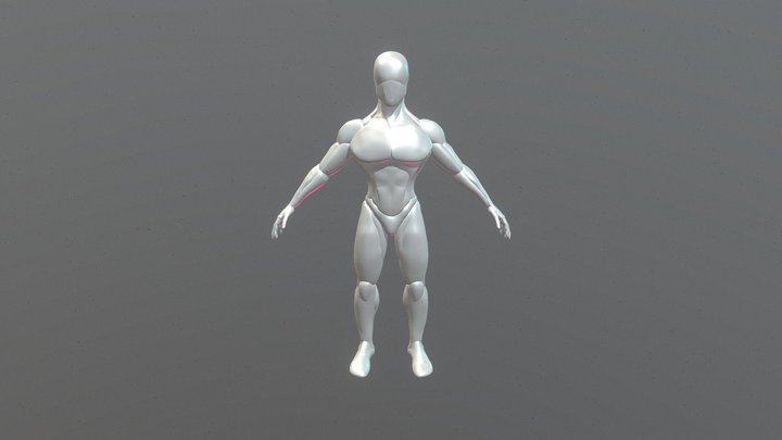 Masc body anatomy exercise 3D Model