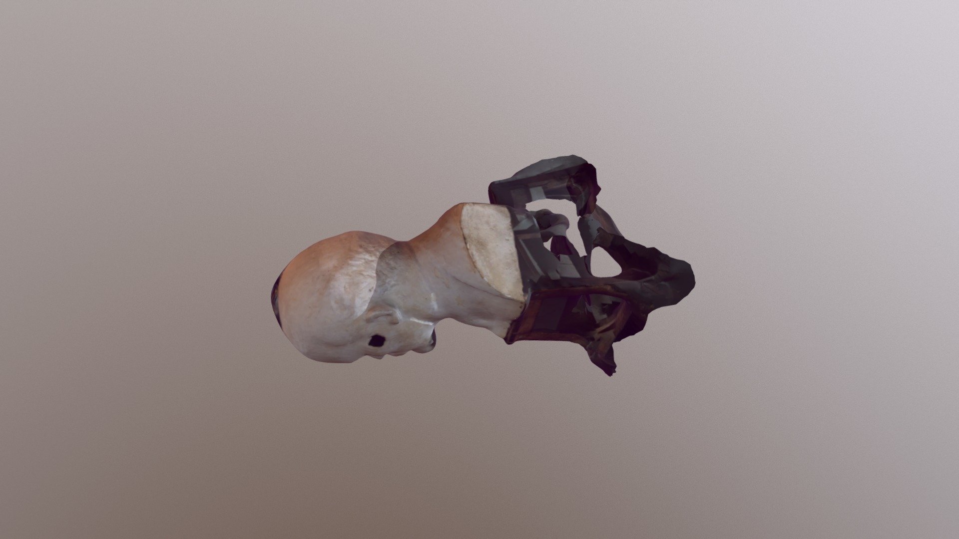 A TRNIO Model