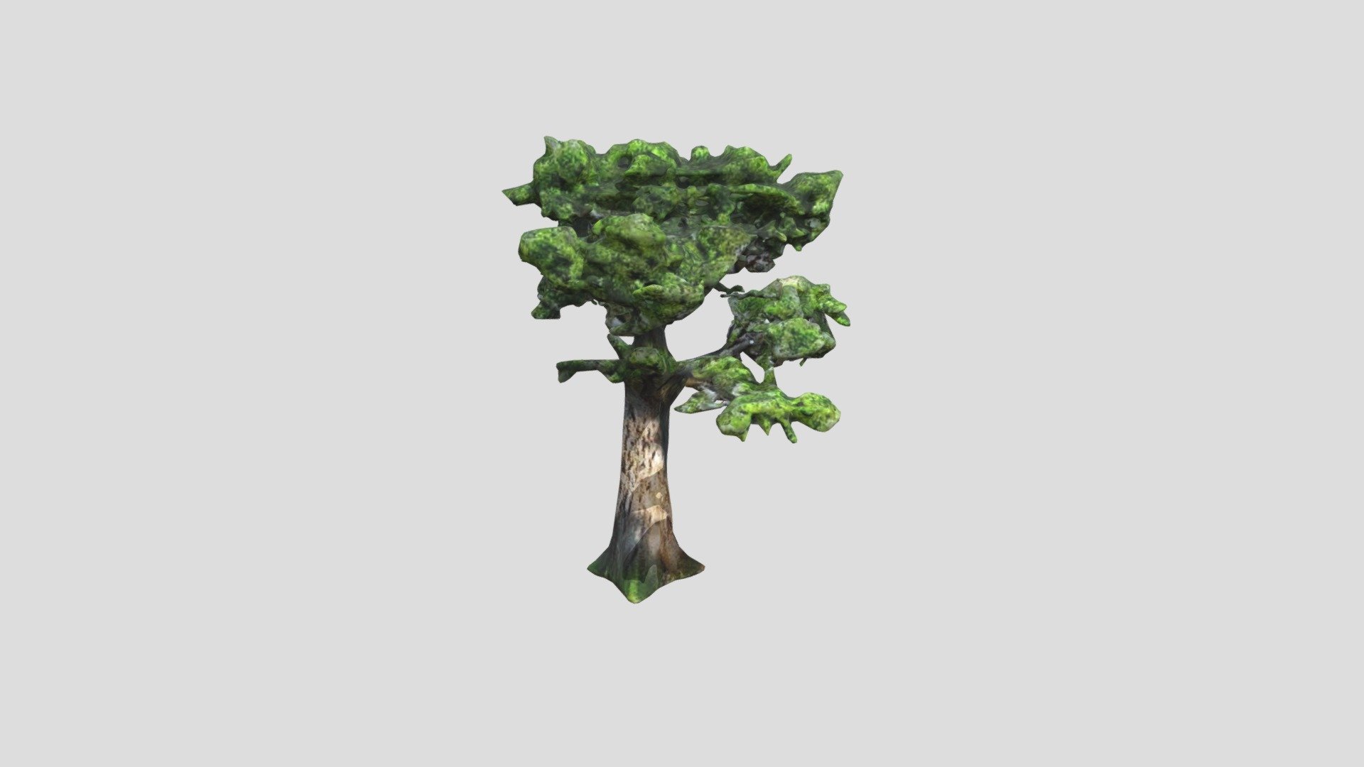Oak Tree L - Download Free 3D model by stefanorivera [20cd059] - Sketchfab