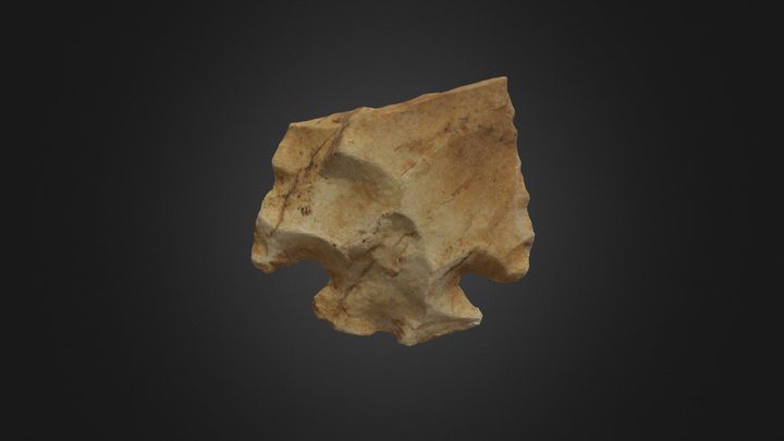 Edgewood Lithic Point 3D Model