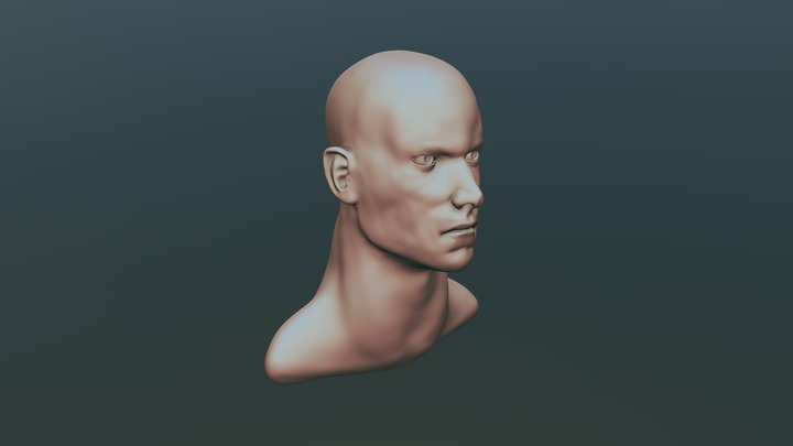 HeadSculpt 3D Model