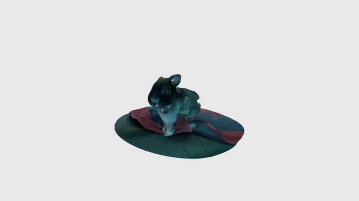 Pompon 3D Model