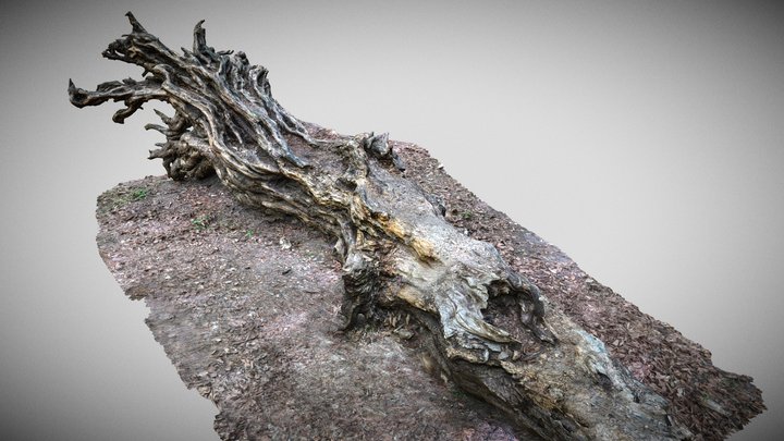 NOS (Slendrina X and Forest) - Download Free 3D model by DVUnit [02ea706] -  Sketchfab