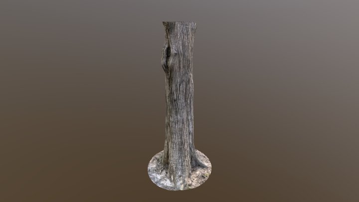 Juniper Trunk 2/7 3D Model
