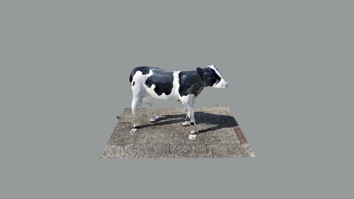 Model of a calf 3D Model