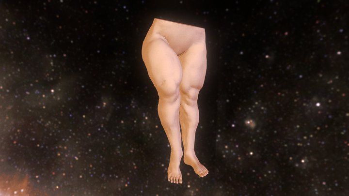 Leg Study 3D Model