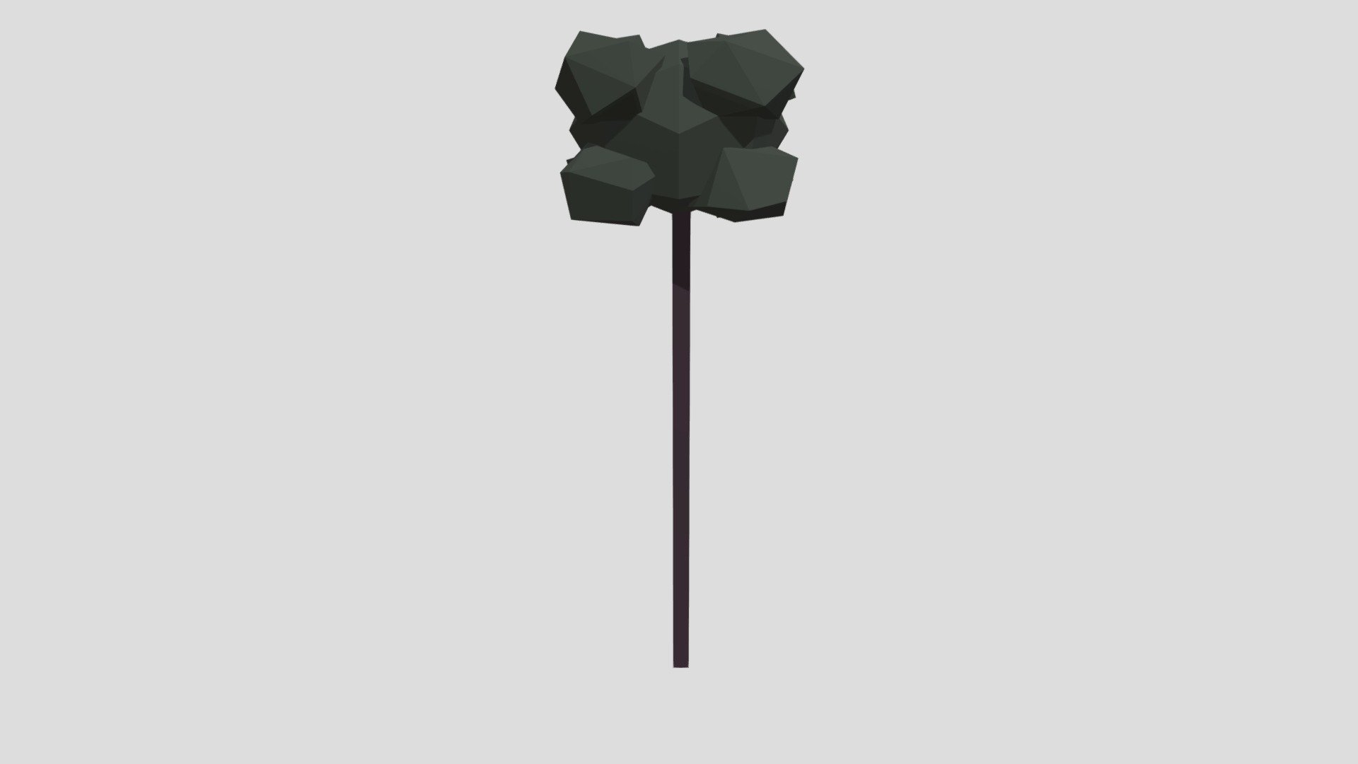 Hammer