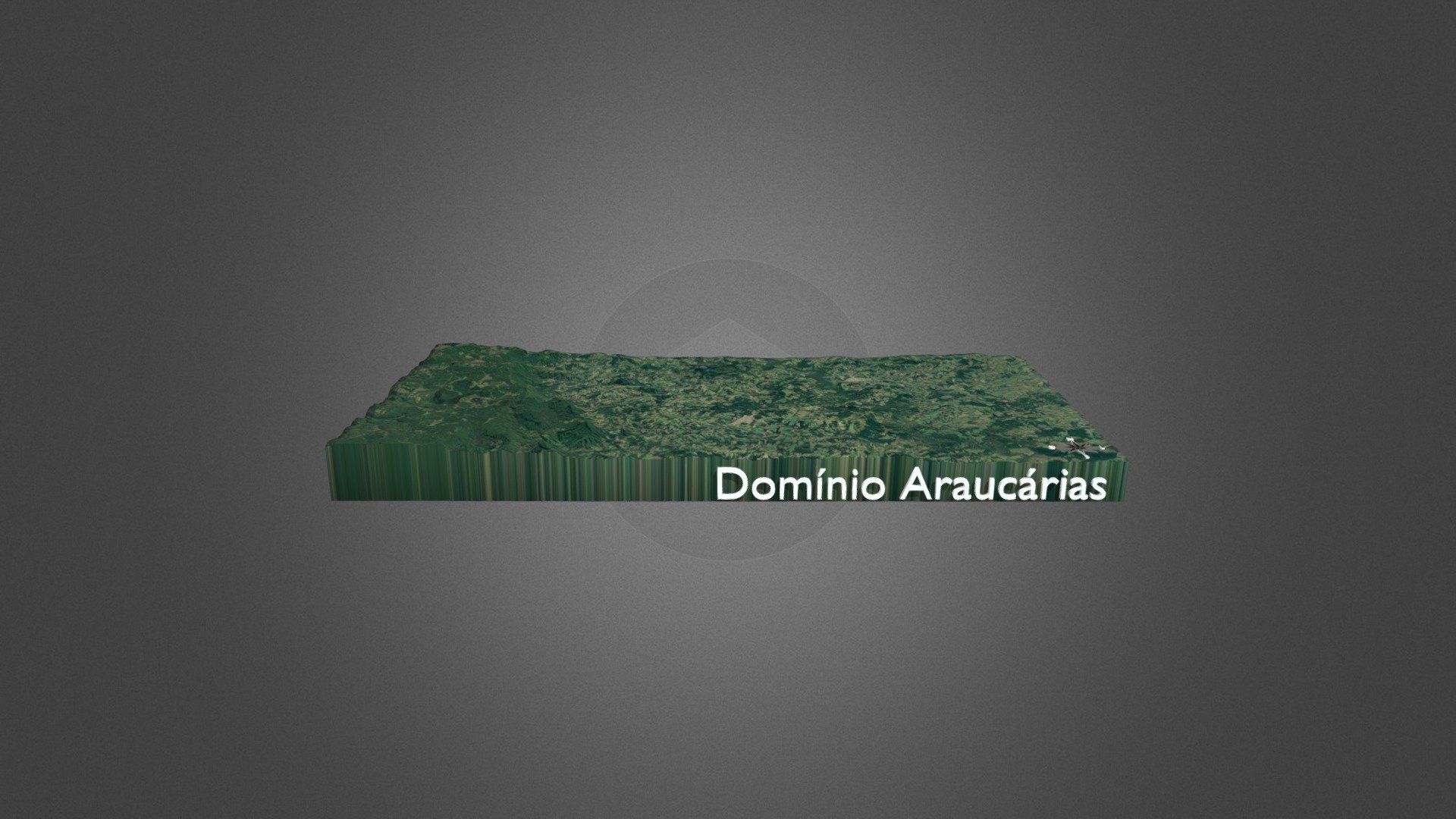 Domínio Araucárias