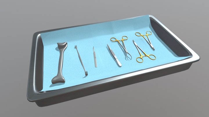Assorted Surgical Tools and Tray 3D Model