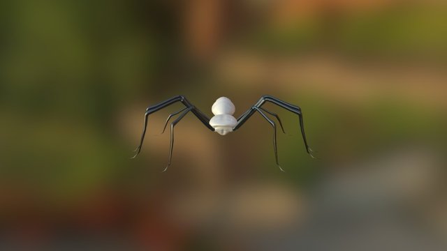 Camel Spider 3D Model