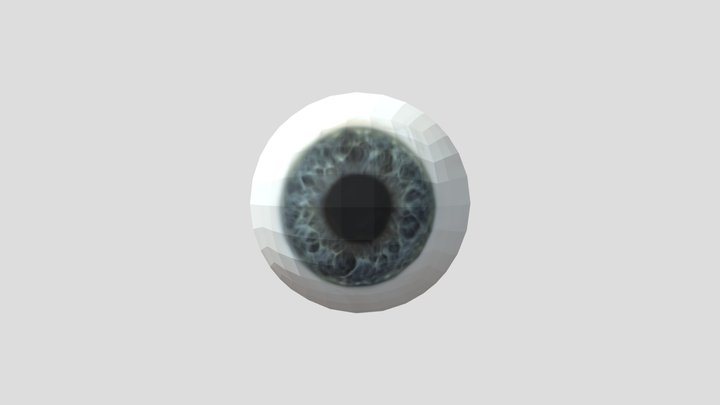 Eye 3D Model