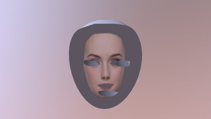 faceLayer 3D Model