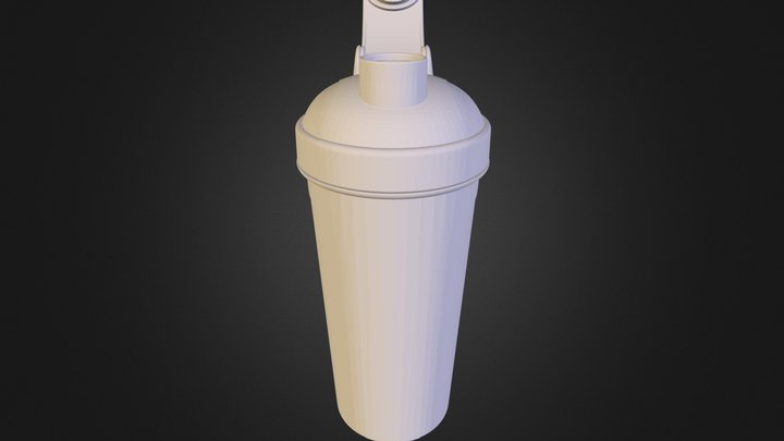 Sleek Shaker Bottle_06-01-12.STL 3D Model