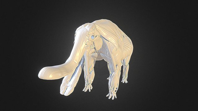 Chrome Dino Game 3D - A 3D model collection by MayMax - Sketchfab