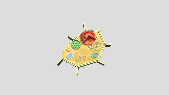 Sel Tanaman 3D Model