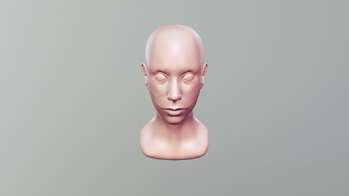 Halfway Head 3D Model