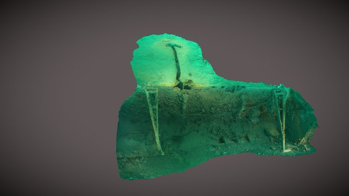 Damage on Mariam Express 3d Photogrammetry Model 3D Model