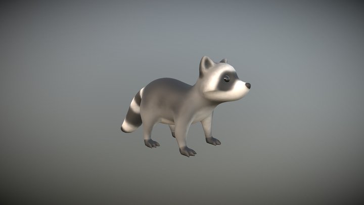 Raccoon 3D Model