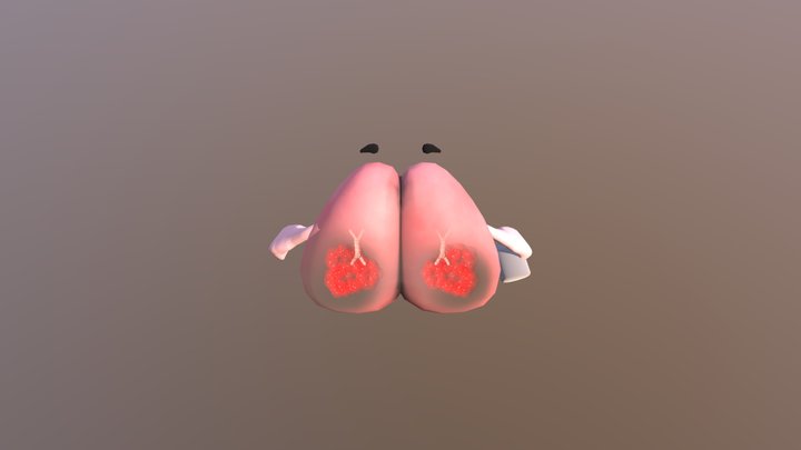 lung 3D Model