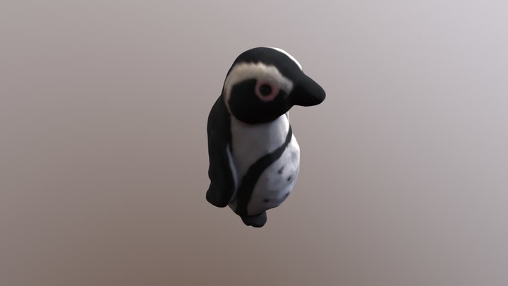 Penguin 3D Model