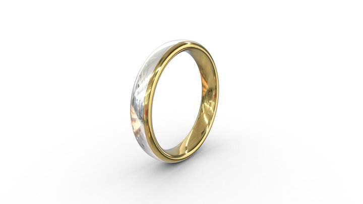 Ring 02 3D Model