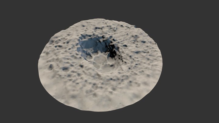 cat paw footprint in snow #1 3D Model