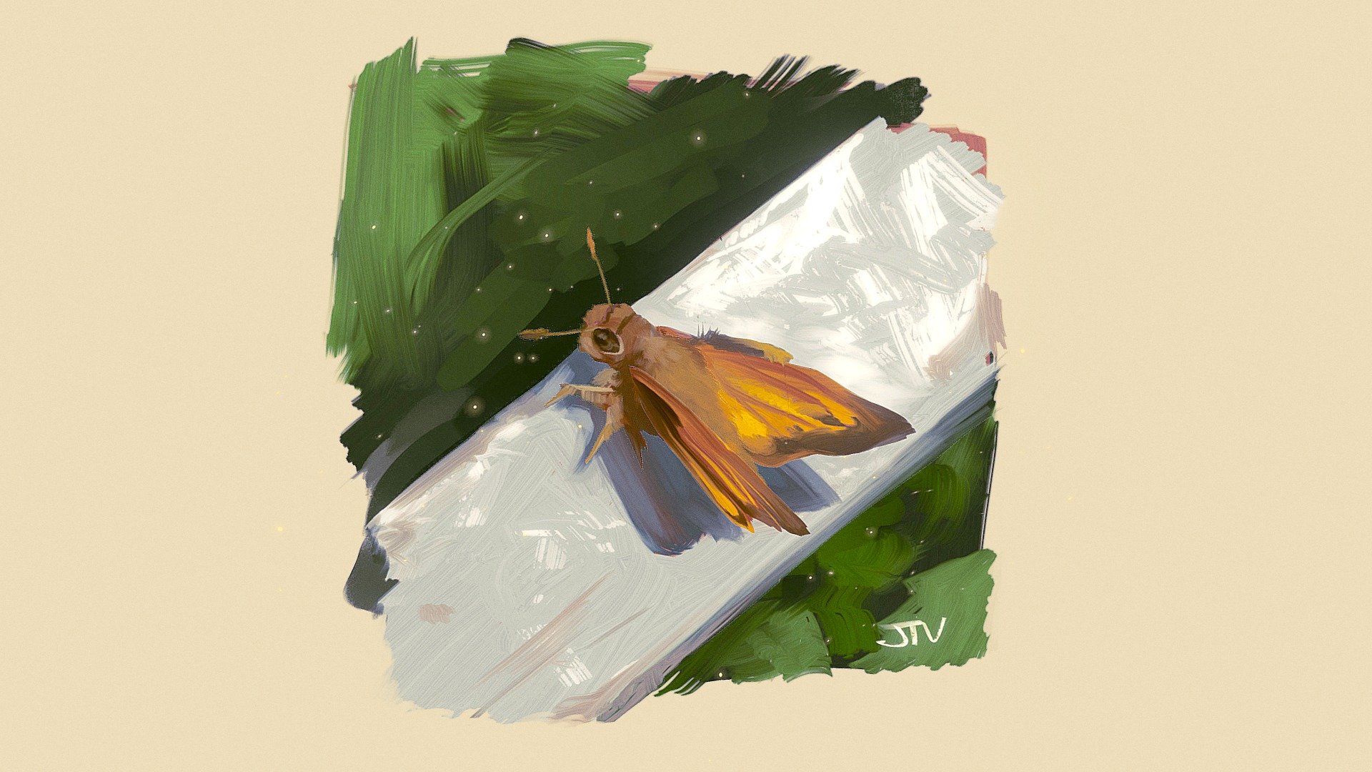 Zabulon Skipper (Lon zabulon)