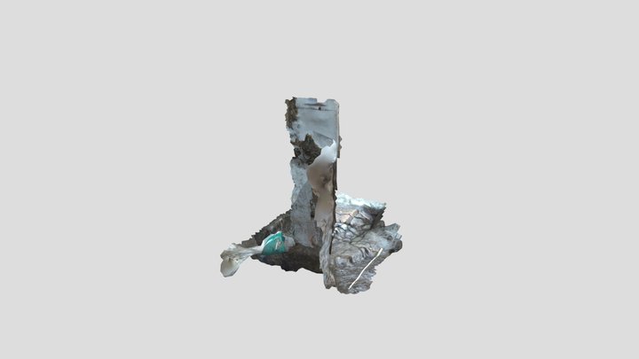 CLARA_ROJAS_COSTADO_W_CIMIENTO(111) 3D Model