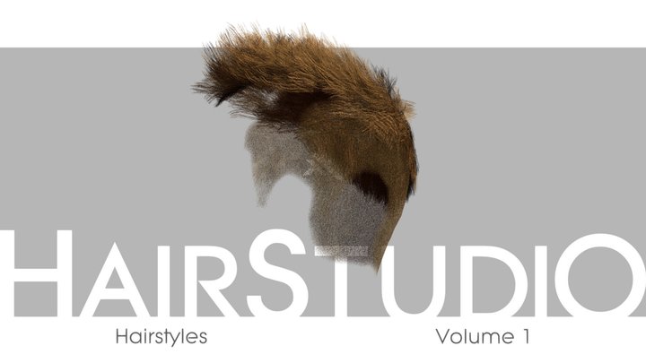 HairStudio Vol.01 - Style 25 3D Model